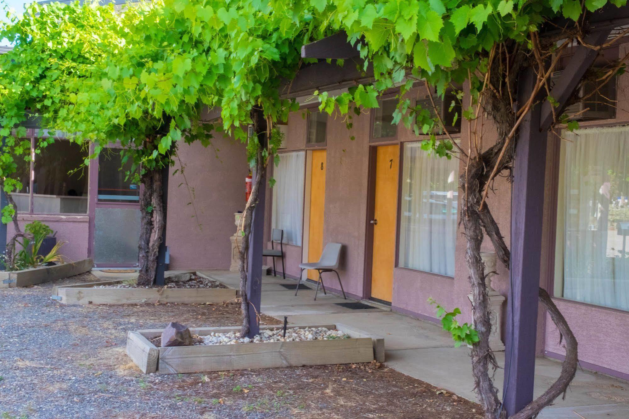 Stawell'S London Motor Inn Экстерьер фото