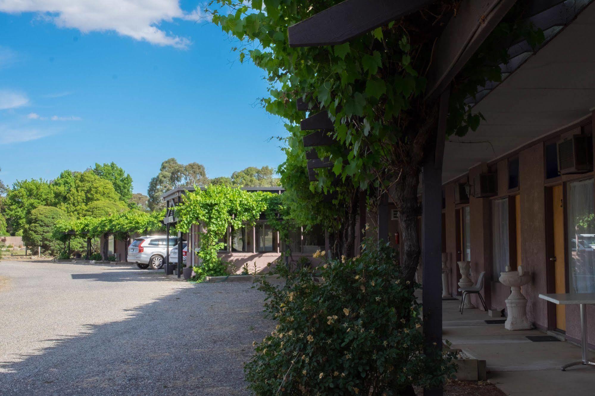 Stawell'S London Motor Inn Экстерьер фото